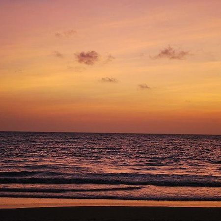 The Palm View Daman Bagian luar foto