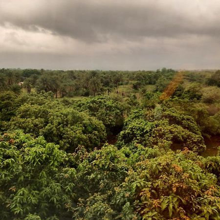 The Palm View Daman Bagian luar foto