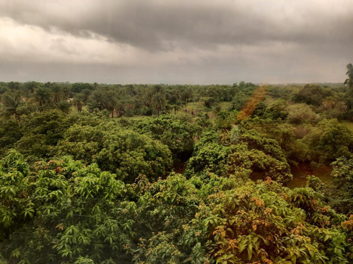 The Palm View Daman Bagian luar foto